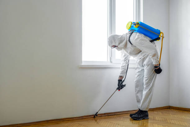 Best Pest Control for Businesses  in Lewiston, UT